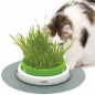 Preview: CATIT Senses 2.0 Grastopf - Grass Planter